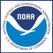 site logo